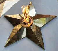 Звезда переносной модуль (513895) монтаж комплект горелка ГВД 379 10 89 00 ПС мобильная  в Брянске