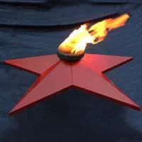 Звезда (газовая горелка) (197122) монтаж комплект горелка ГВД 379 10 89 00 ПС - ø 1100 мм. ветроустойчивая  в Брянске