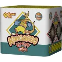 Батарея салютов Кенгуру ОС6035 купить от производителя Огненный Цветок — Брянск