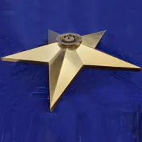 Звезда вечный огонь (1628) поставка комплект горелка ГВД 379 10 89 00 ПС ø 1100 мм. пустотелая  в Брянске